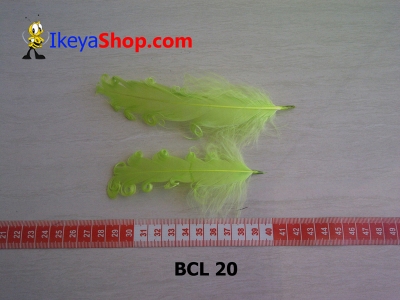 BCL 20  large2